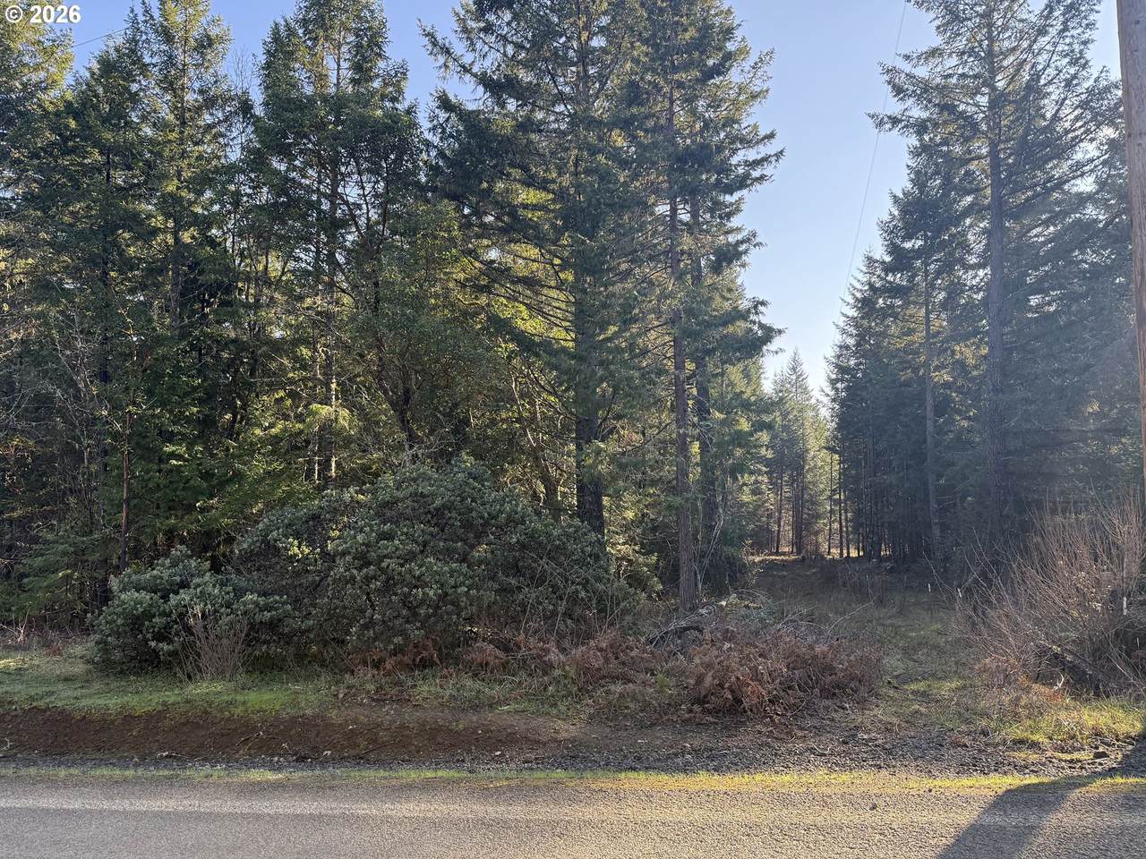 0 Touchstone Ln - Photo 1