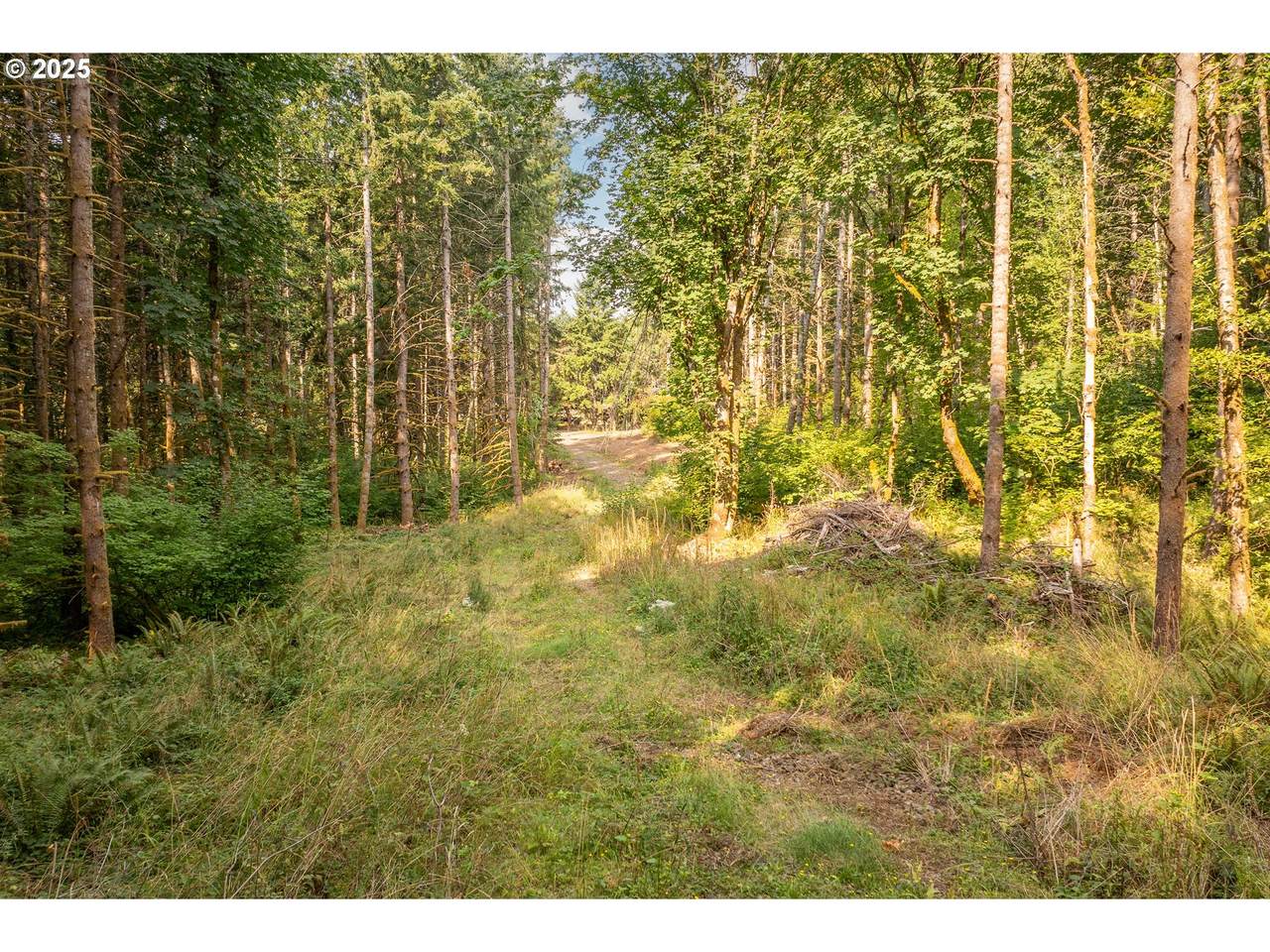 11975 Zion Hill Dr - Photo 1