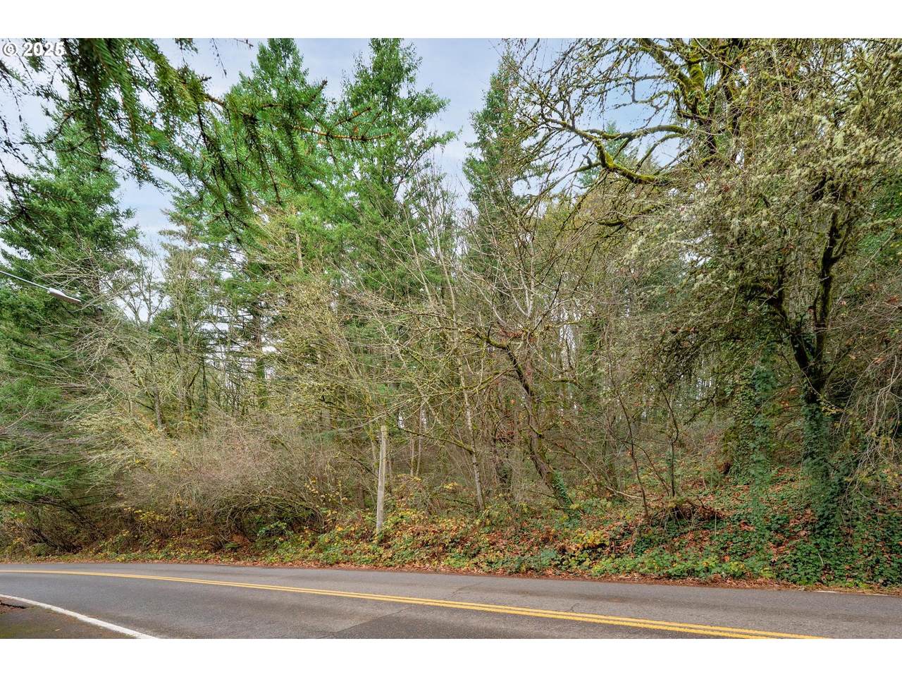 https://bt-photos.global.ssl.fastly.net/portland/1280_boomver_1_722439051-2.jpg