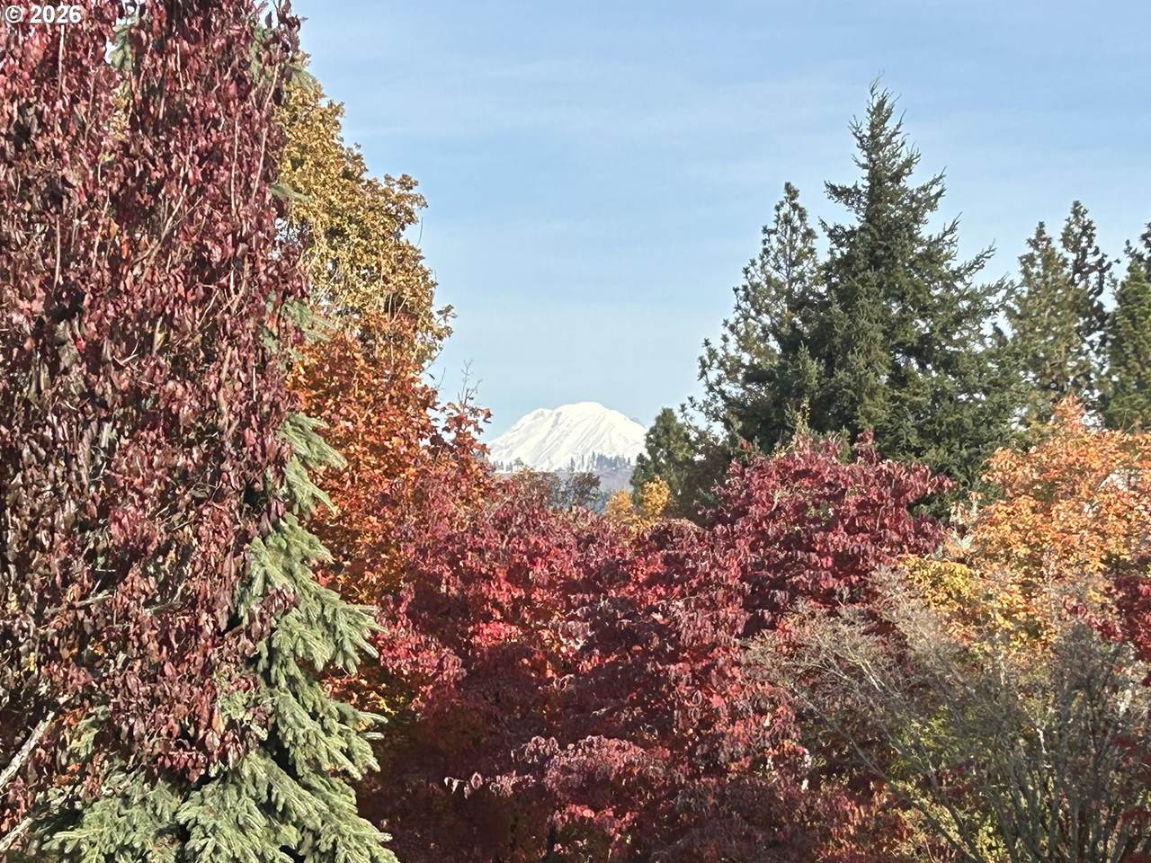 https://bt-photos.global.ssl.fastly.net/portland/orig_boomver_1_727851053-2.jpg