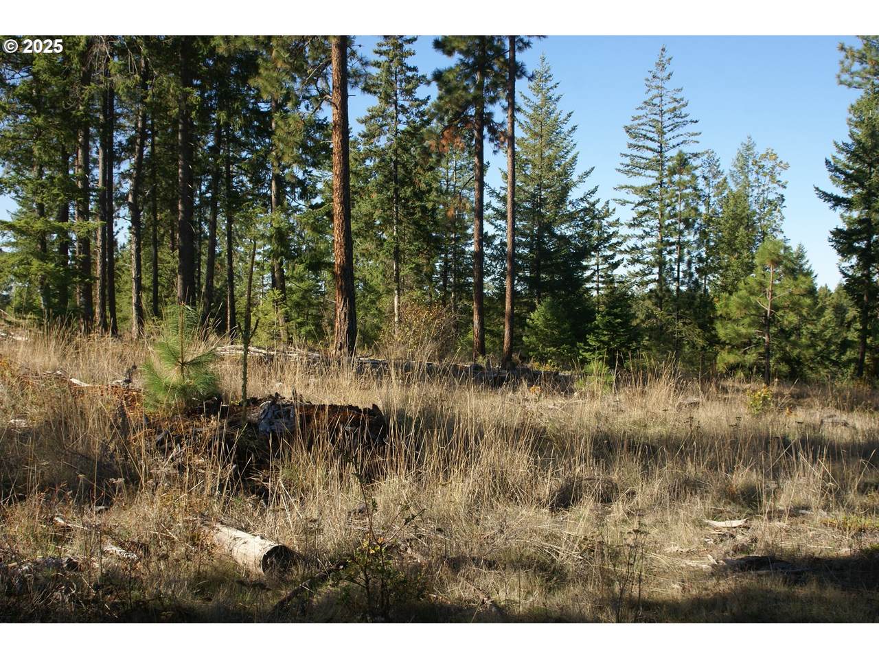 https://bt-photos.global.ssl.fastly.net/portland/1280_boomver_1_728793450-2.jpg