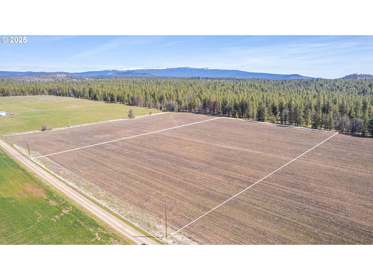  Two Mountain Views - Photo 1