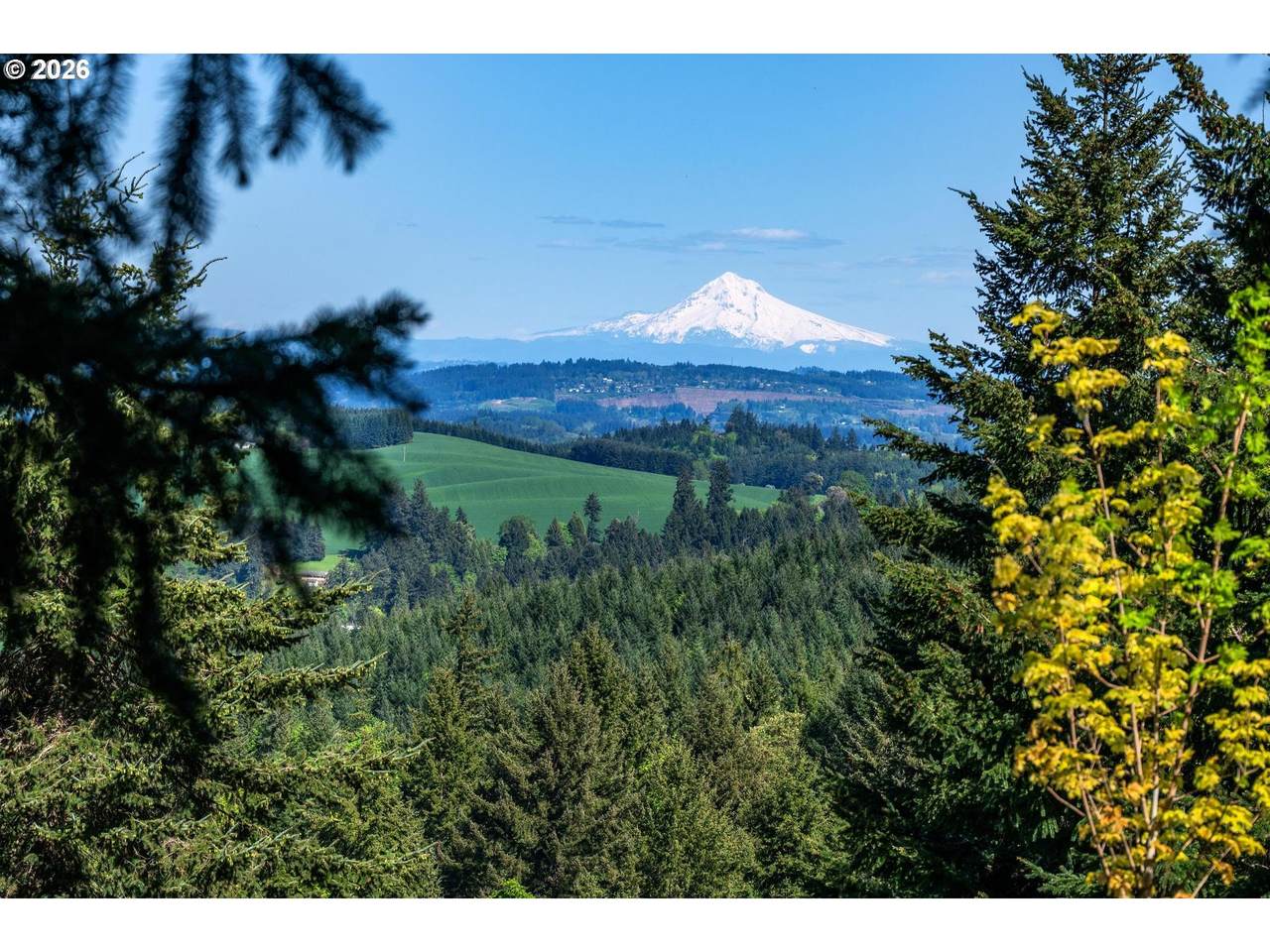 https://bt-photos.global.ssl.fastly.net/portland/1280_boomver_1_730300528-2.jpg