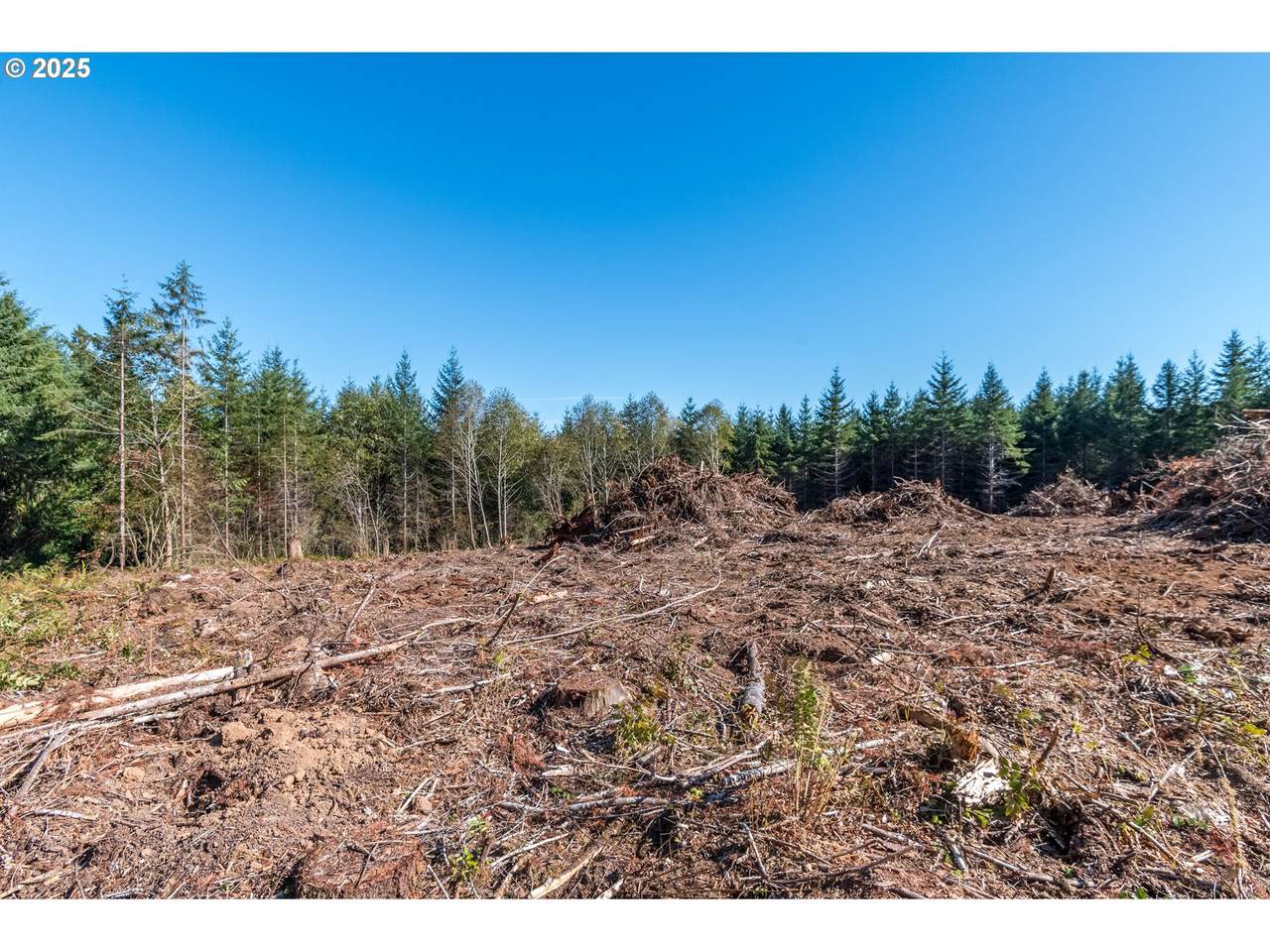 https://bt-photos.global.ssl.fastly.net/portland/1280_boomver_1_732123479-2.jpg