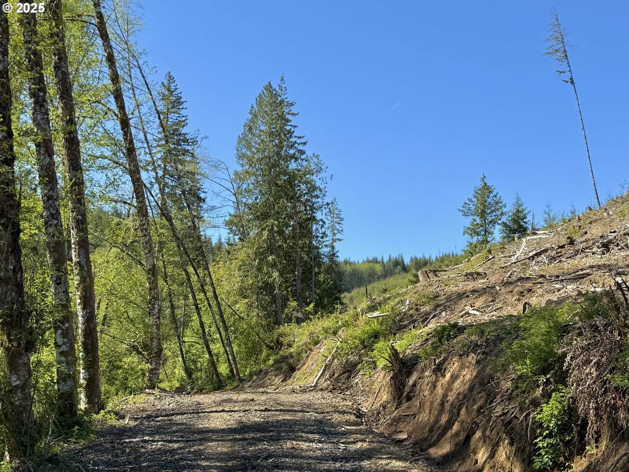 https://bt-photos.global.ssl.fastly.net/portland/1280_boomver_1_737375092-2.jpg