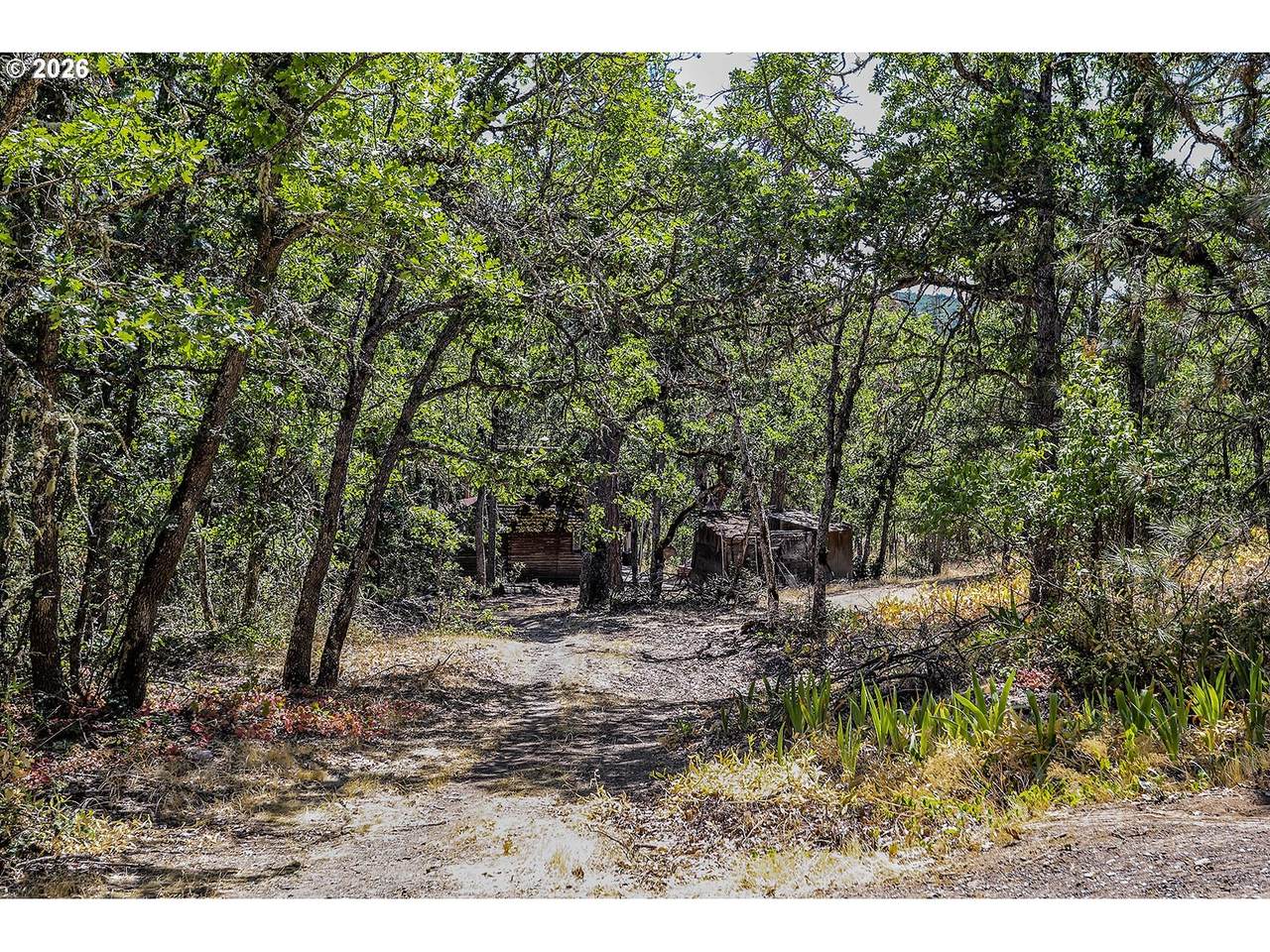 2300 Dry Creek Rd - Photo 1