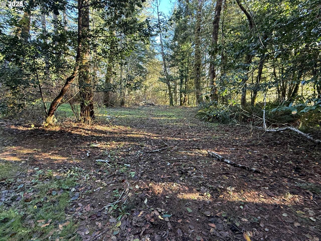 https://bt-photos.global.ssl.fastly.net/portland/1280_boomver_1_742202700-2.jpg