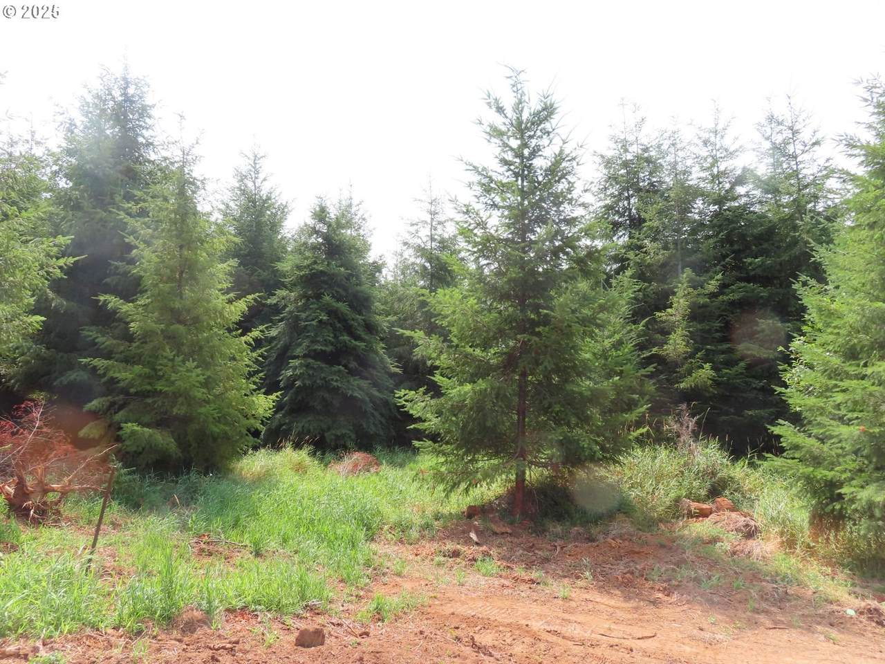  Mill Creek Lane - Photo 1