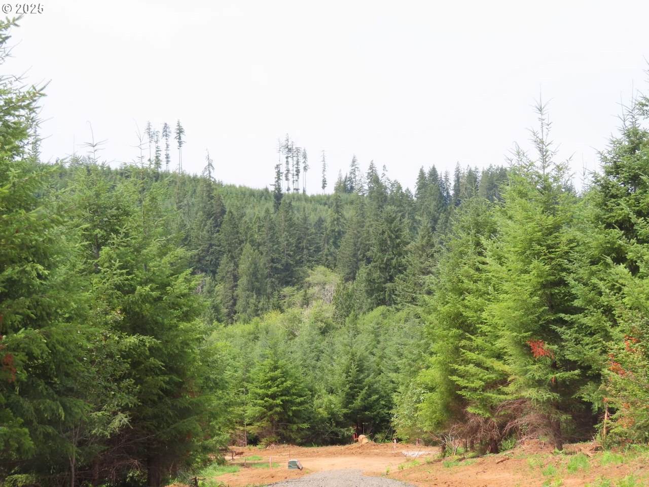 https://bt-photos.global.ssl.fastly.net/portland/1280_boomver_1_742520434-2.jpg