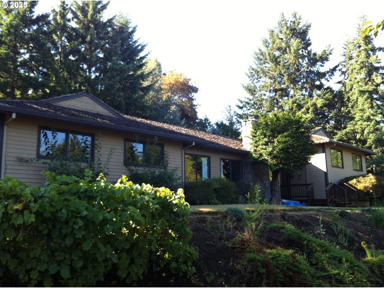 https://bt-photos.global.ssl.fastly.net/portland/1280_boomver_1_742991869-2.jpg
