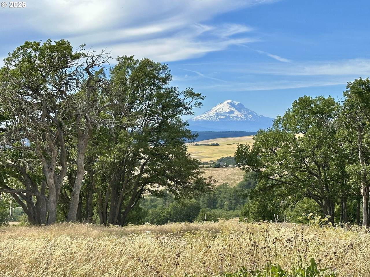 https://bt-photos.global.ssl.fastly.net/portland/1280_boomver_1_744052933-2.jpg