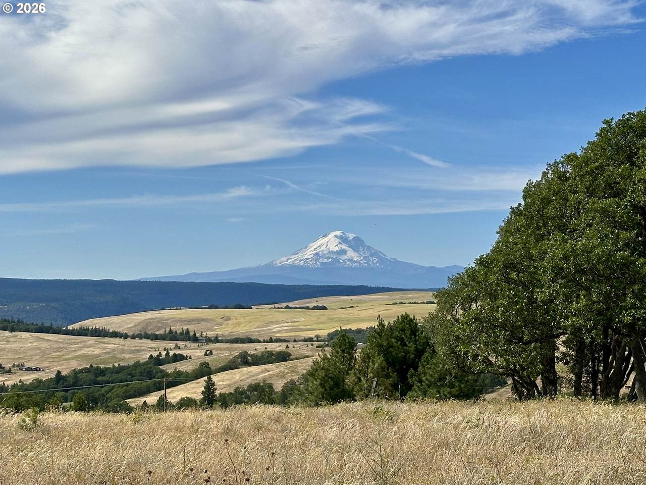 https://bt-photos.global.ssl.fastly.net/portland/1280_boomver_1_744052933-2.jpg