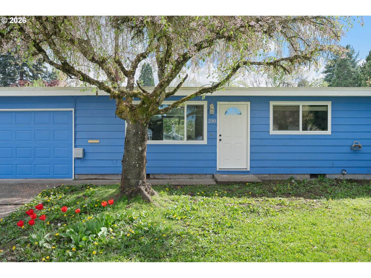 https://bt-photos.global.ssl.fastly.net/portland/1280_boomver_1_744997183-2.jpg