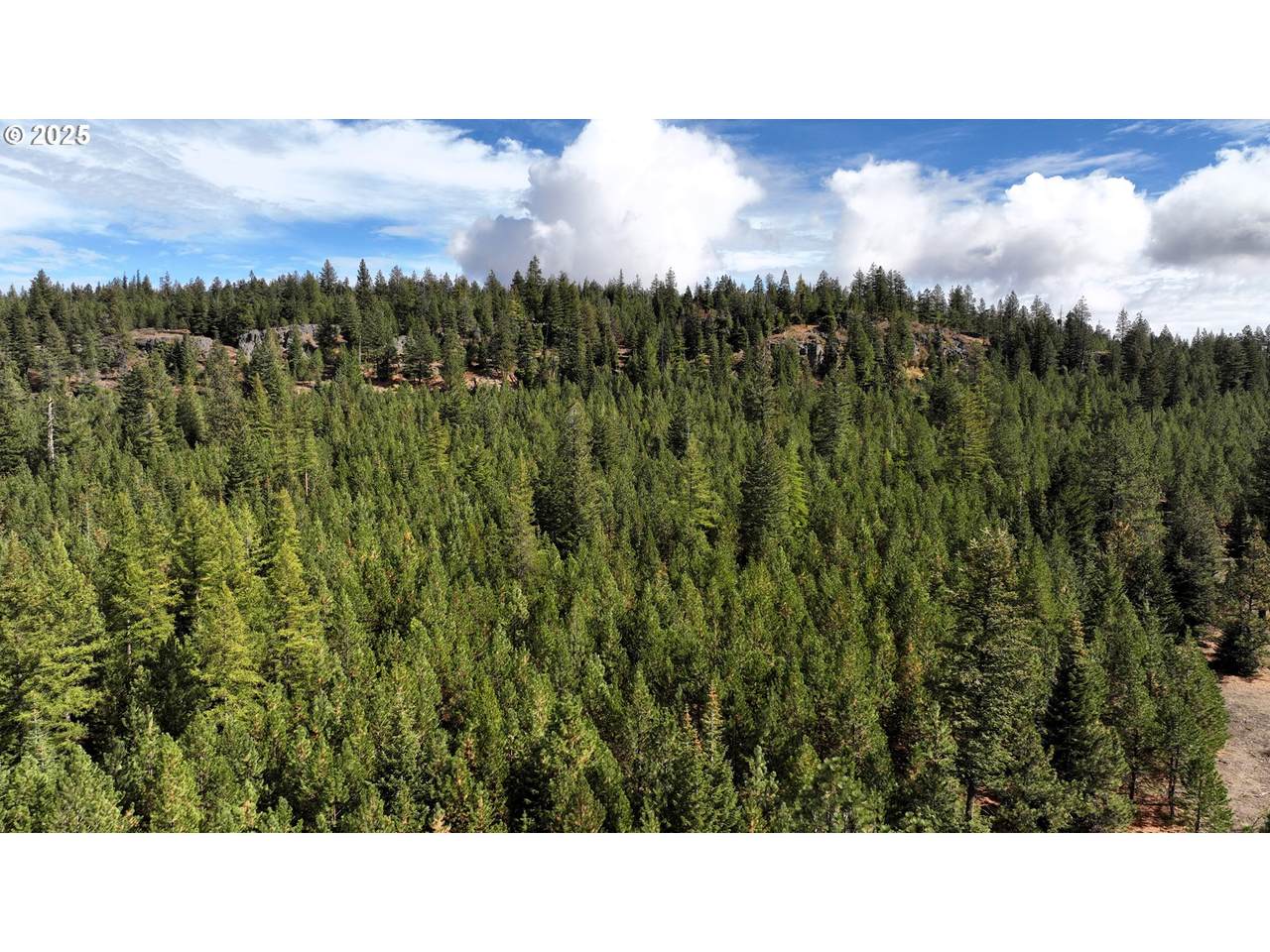 https://bt-photos.global.ssl.fastly.net/portland/1280_boomver_1_746326279-2.jpg