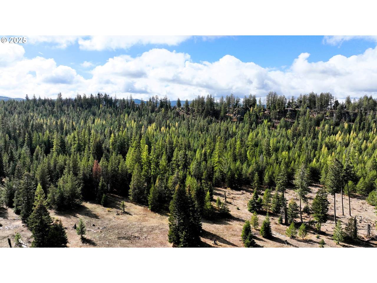 https://bt-photos.global.ssl.fastly.net/portland/1280_boomver_1_746326279-2.jpg