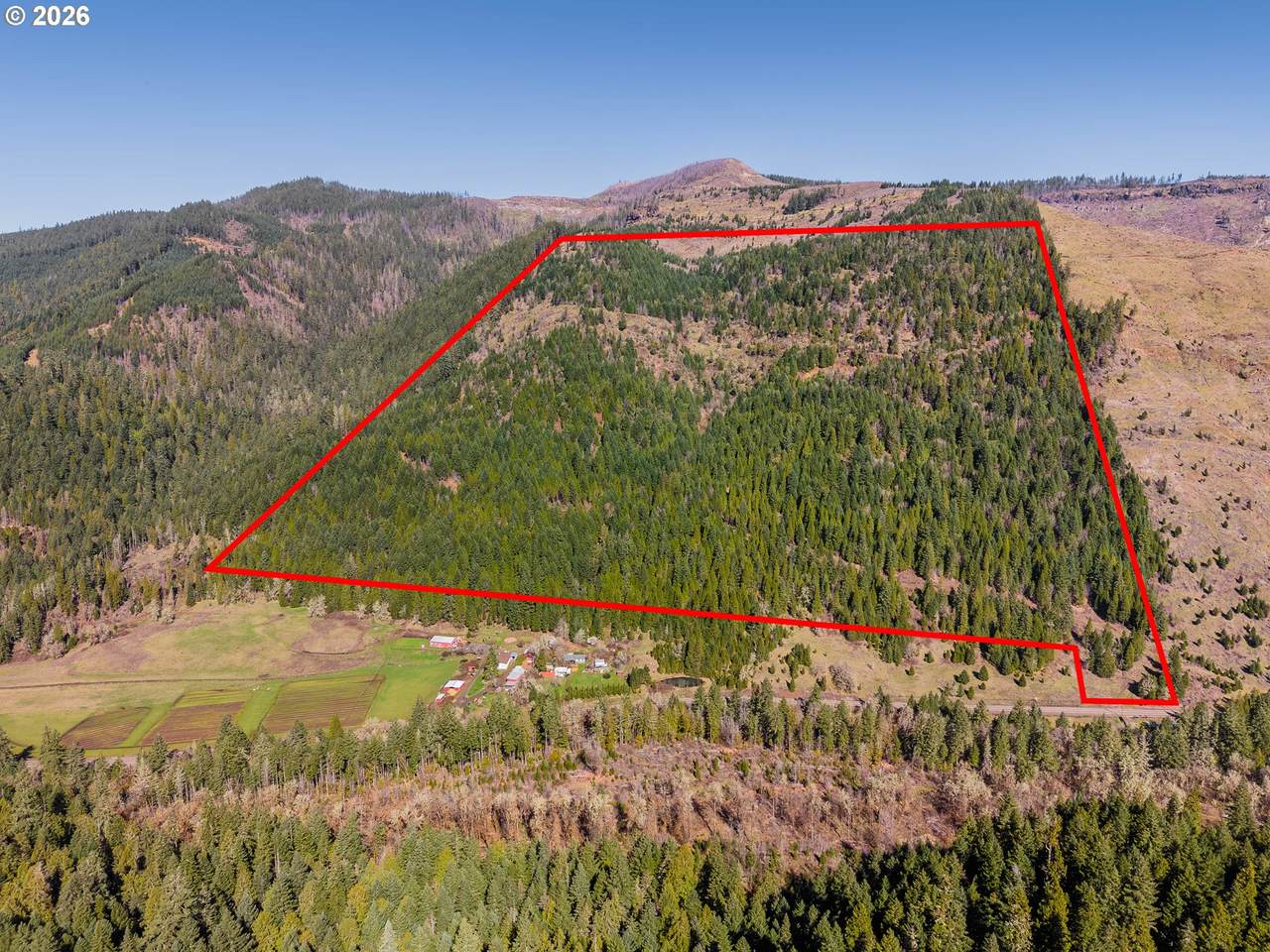 14536 Little River Rd - Photo 1