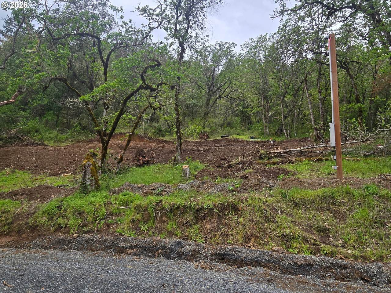 535 Annis - Photo 1