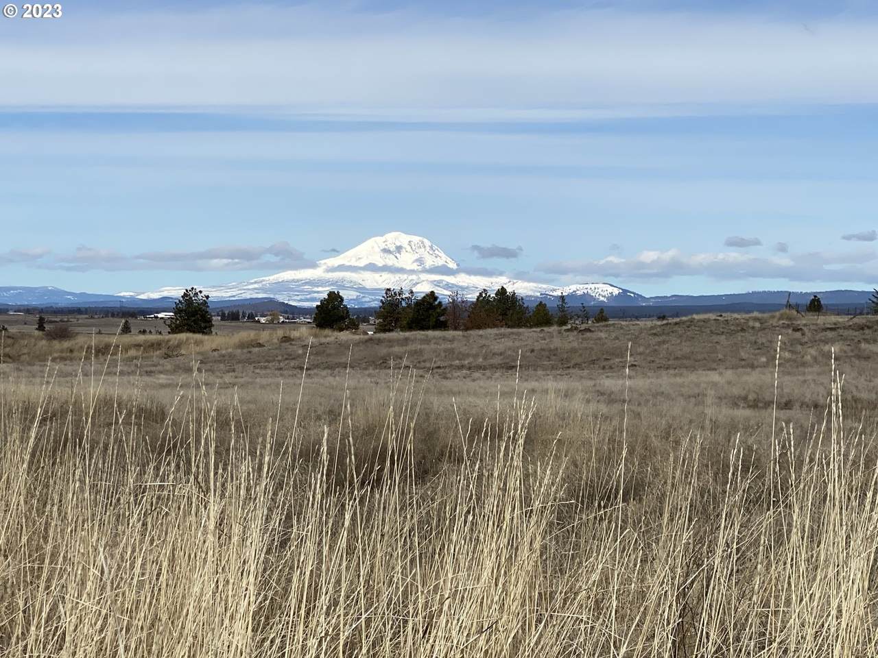 https://bt-photos.global.ssl.fastly.net/portland/1280_boomver_1_752760440-2.jpg