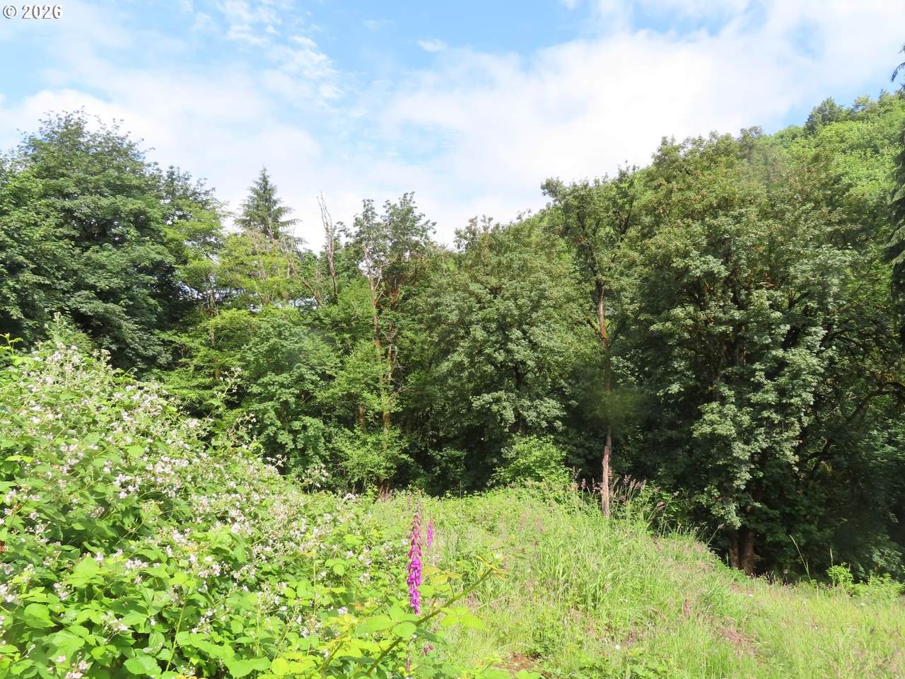  Sylvan Way - Photo 1