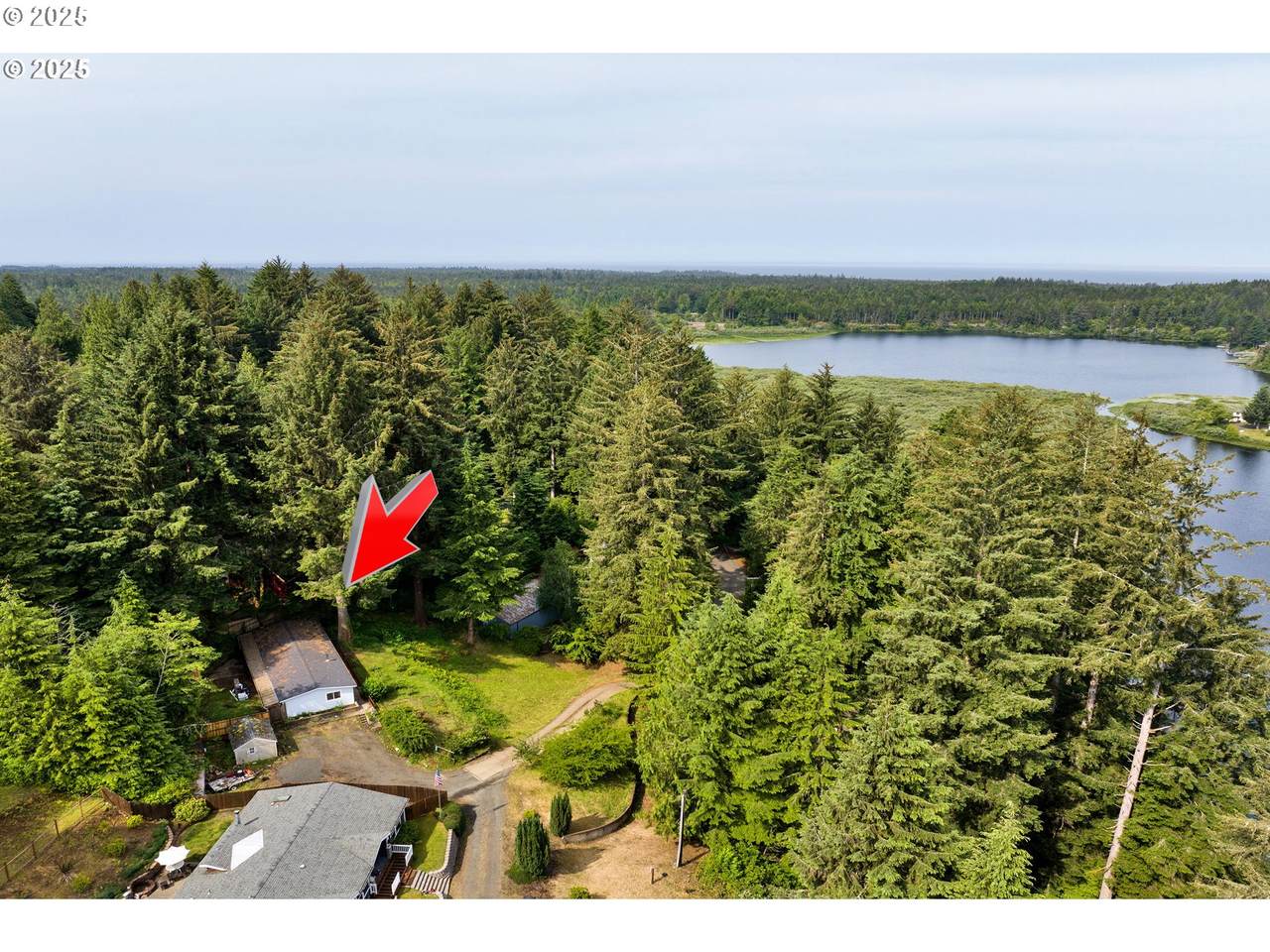 89159 Sutton Lake Rd - Photo 1