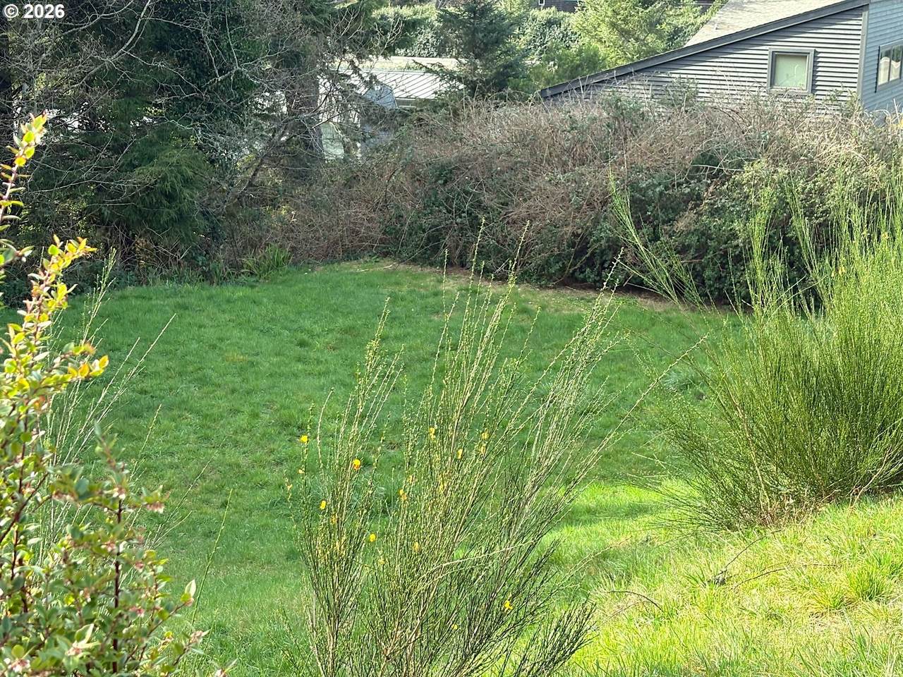 320 Hill Ct - Photo 1