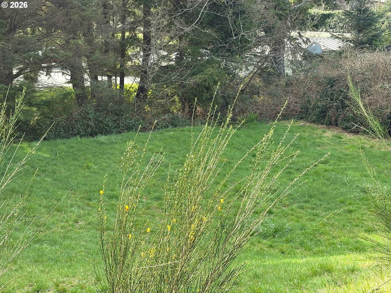https://bt-photos.global.ssl.fastly.net/portland/1280_boomver_1_758151806-2.jpg