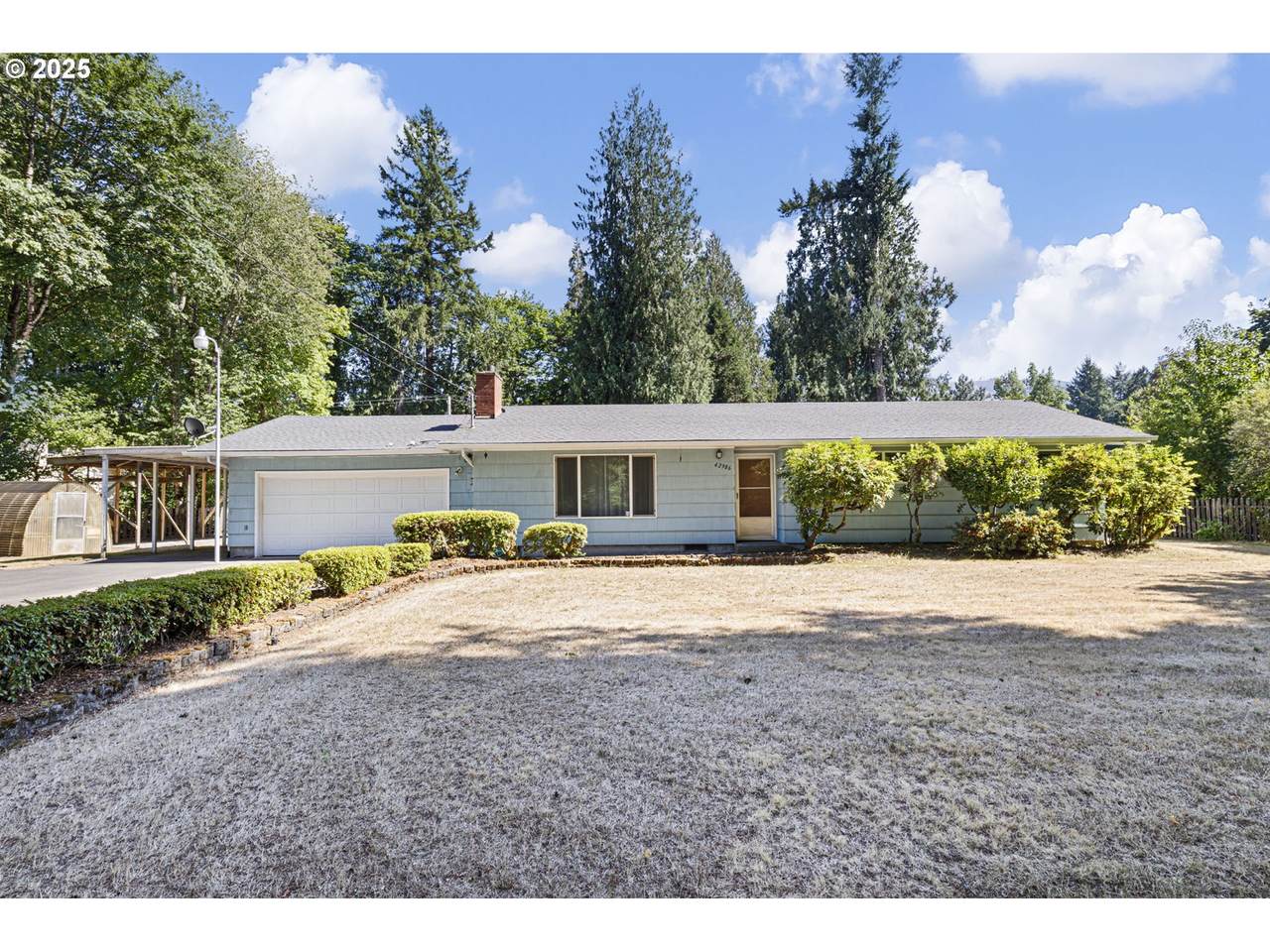 42986 Mckenzie Hwy - Photo 1