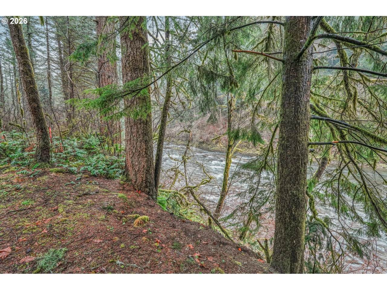 https://bt-photos.global.ssl.fastly.net/portland/1280_boomver_1_760981549-2.jpg