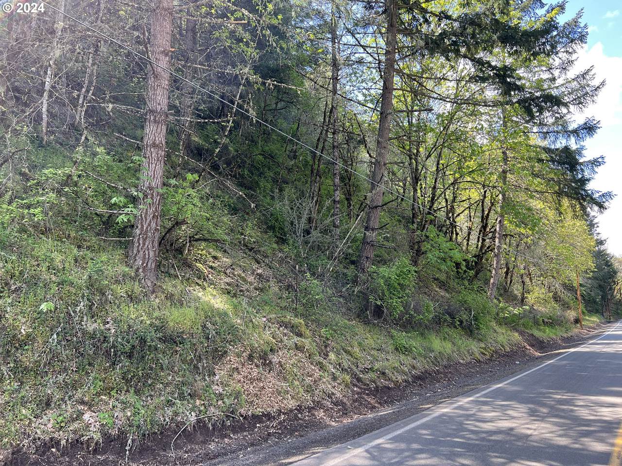 000300 Clarks Branch Rd - Photo 1