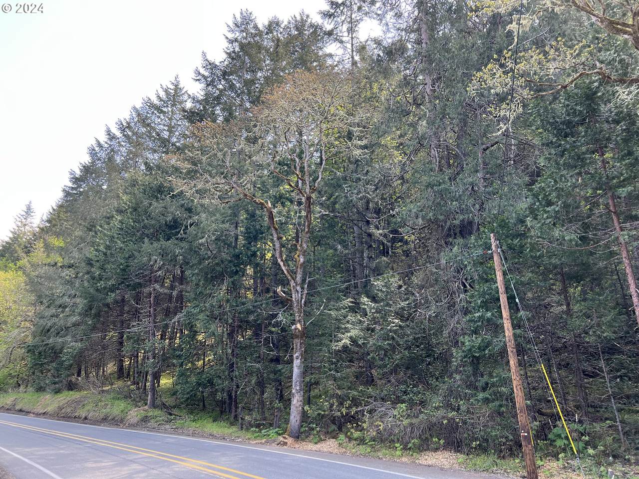 https://bt-photos.global.ssl.fastly.net/portland/1280_boomver_1_761749224-2.jpg