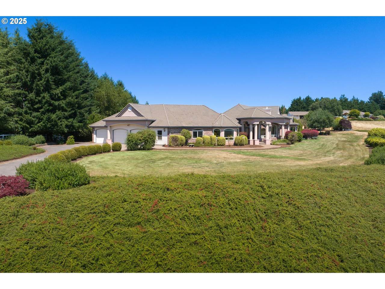 30525 Canter Ln - Photo 1