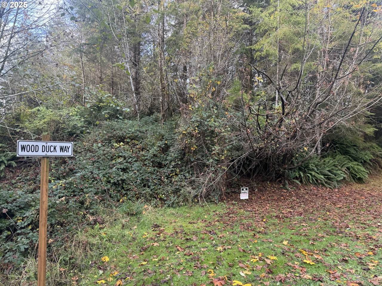https://bt-photos.global.ssl.fastly.net/portland/1280_boomver_1_763960822-2.jpg