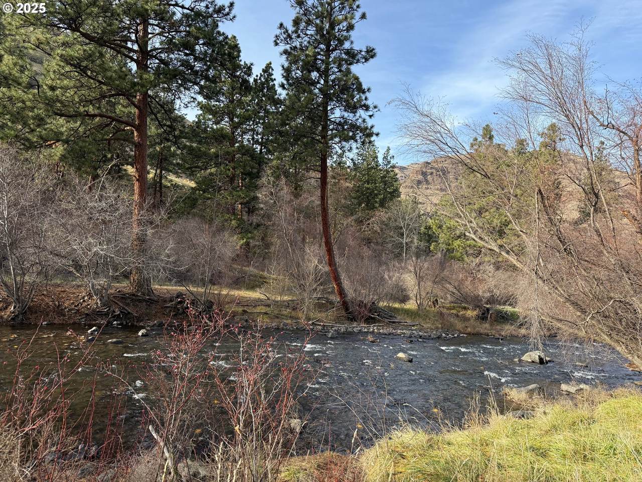 0 Big Sheep Creek Rd - Photo 1