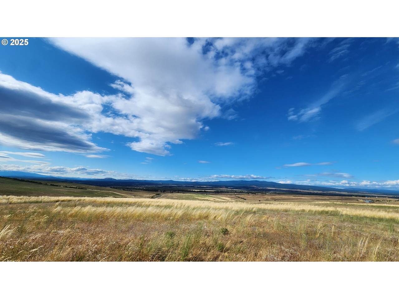 https://bt-photos.global.ssl.fastly.net/portland/1280_boomver_1_771078342-2.jpg