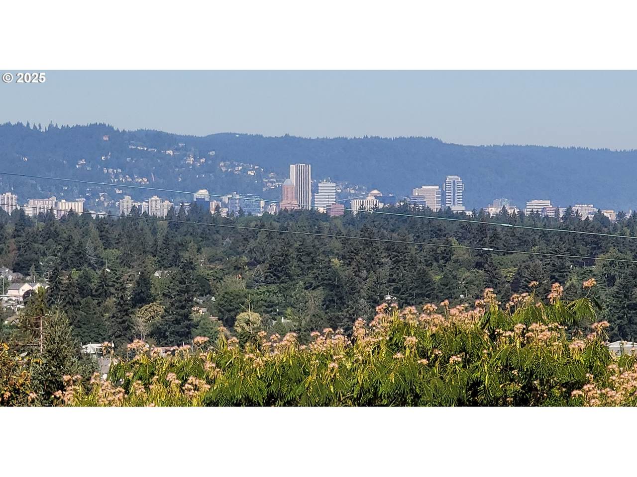 https://bt-photos.global.ssl.fastly.net/portland/orig_boomver_1_771605583-2.jpg