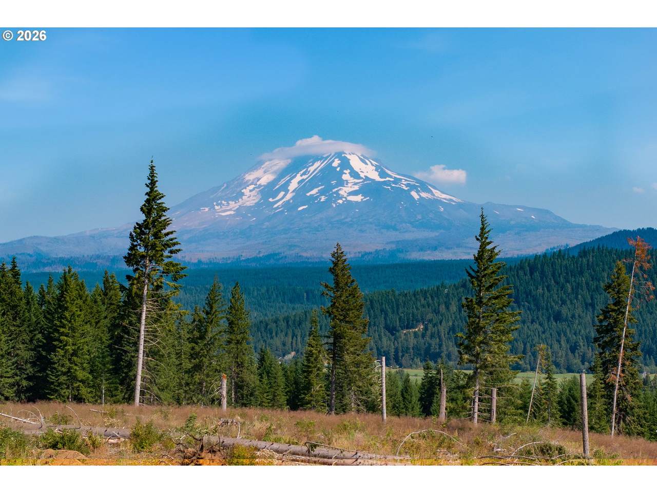 https://bt-photos.global.ssl.fastly.net/portland/1280_boomver_1_773719766-2.jpg