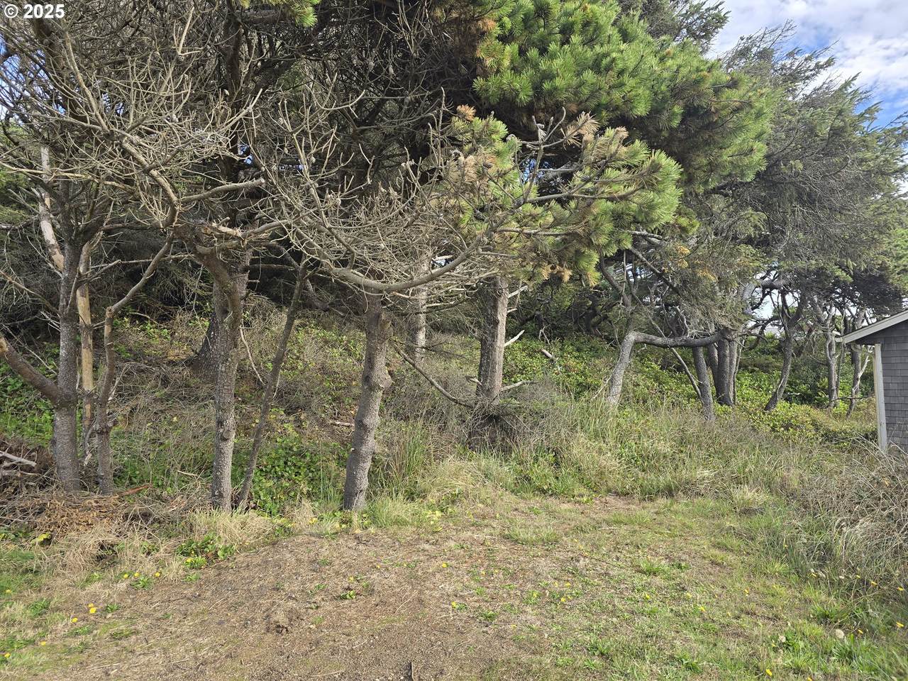 https://bt-photos.global.ssl.fastly.net/portland/1280_boomver_1_774583130-2.jpg