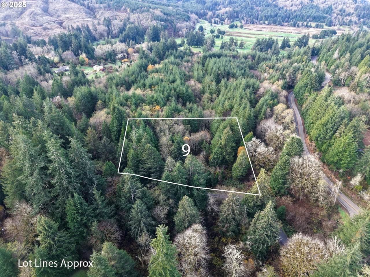 9 Pierson - Photo 1