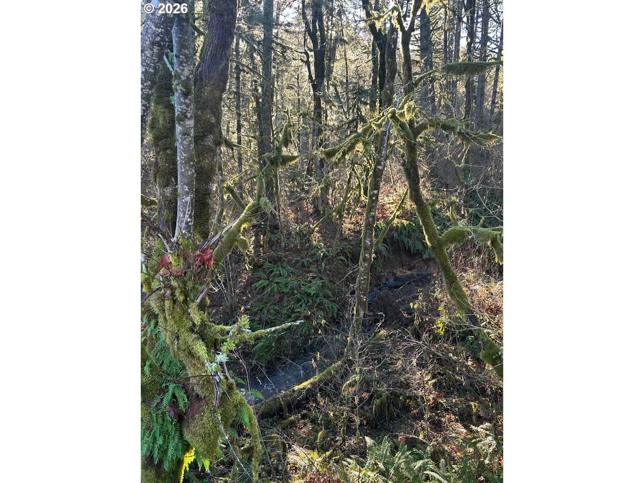  Rock Creek Rd - Photo 1