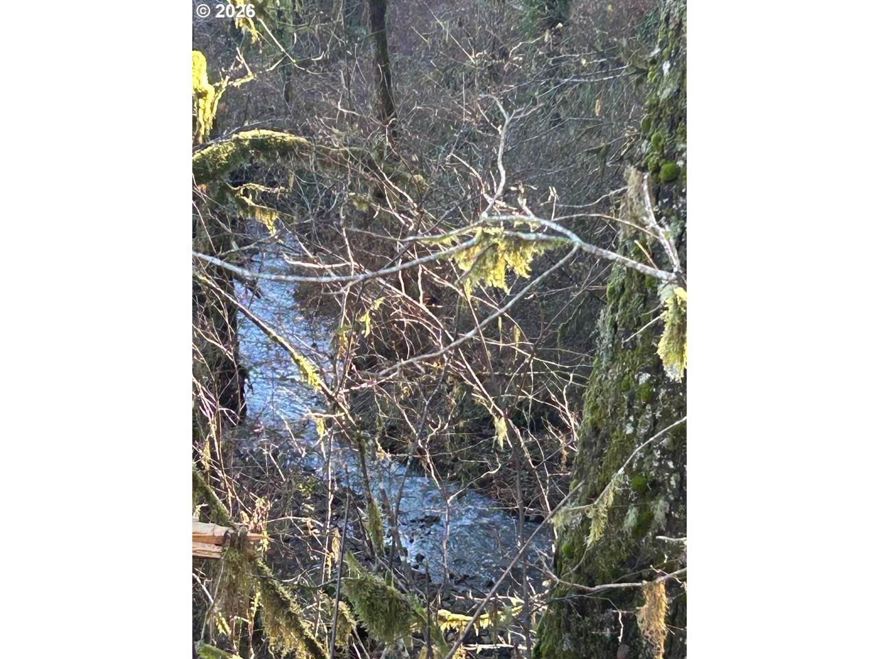 https://bt-photos.global.ssl.fastly.net/portland/1280_boomver_1_775673848-2.jpg