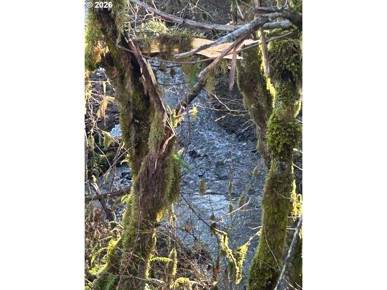 https://bt-photos.global.ssl.fastly.net/portland/1280_boomver_1_775673848-2.jpg