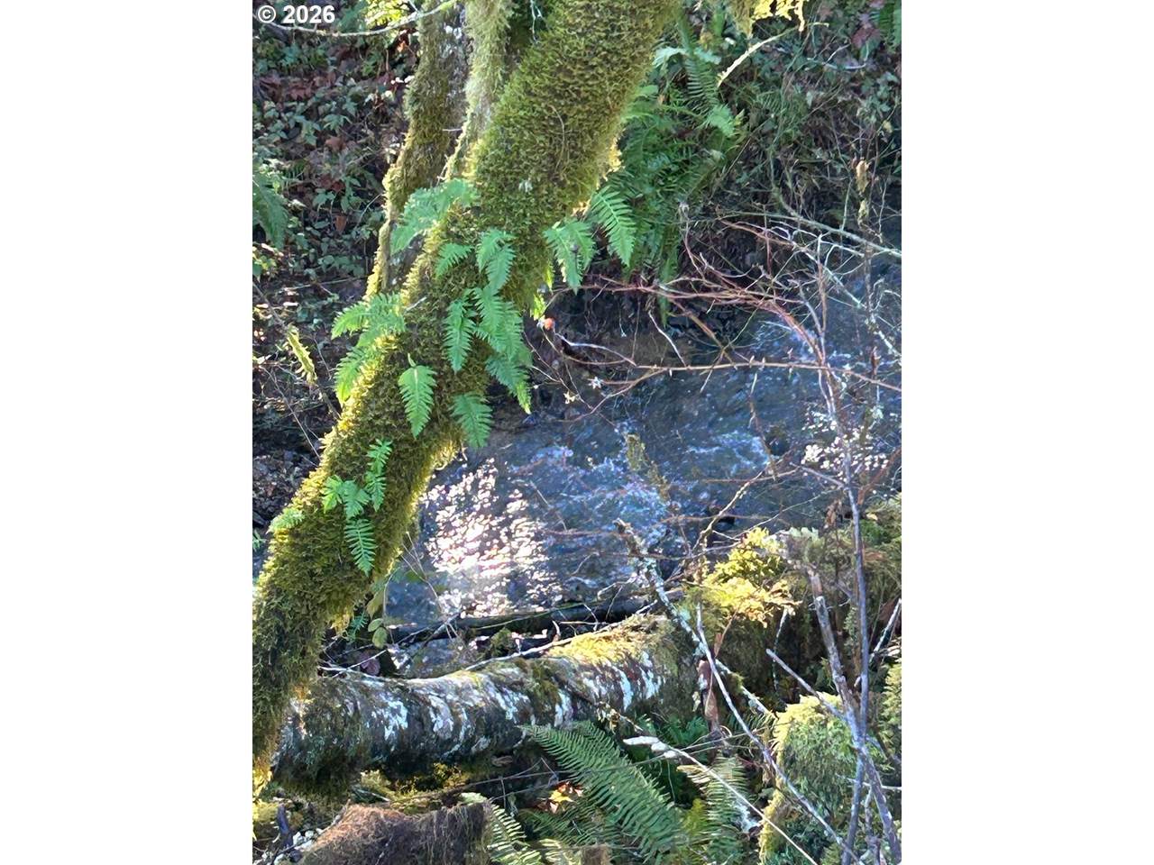 https://bt-photos.global.ssl.fastly.net/portland/1280_boomver_1_775673848-2.jpg
