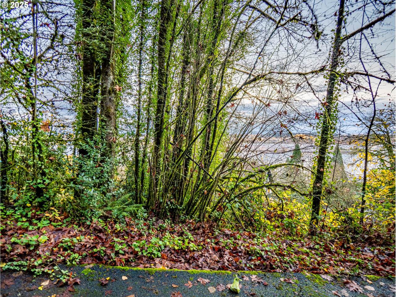 https://bt-photos.global.ssl.fastly.net/portland/1280_boomver_1_778030371-2.jpg