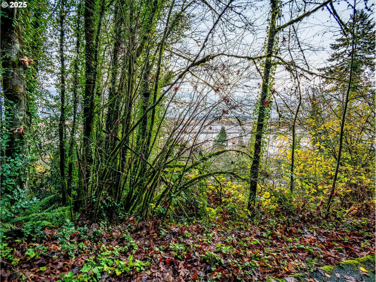 https://bt-photos.global.ssl.fastly.net/portland/1280_boomver_1_778030371-2.jpg
