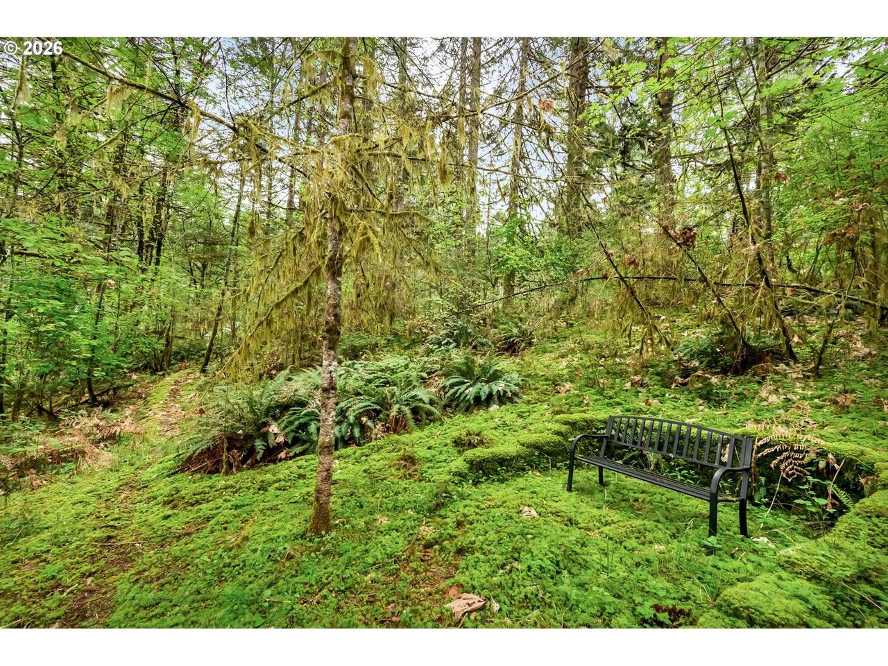 https://bt-photos.global.ssl.fastly.net/portland/1280_boomver_1_780533166-2.jpg