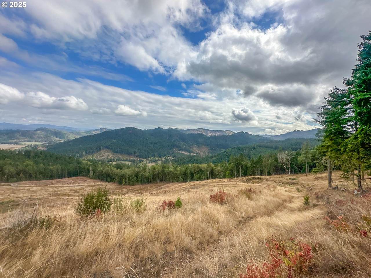 https://bt-photos.global.ssl.fastly.net/portland/1280_boomver_1_783435410-2.jpg