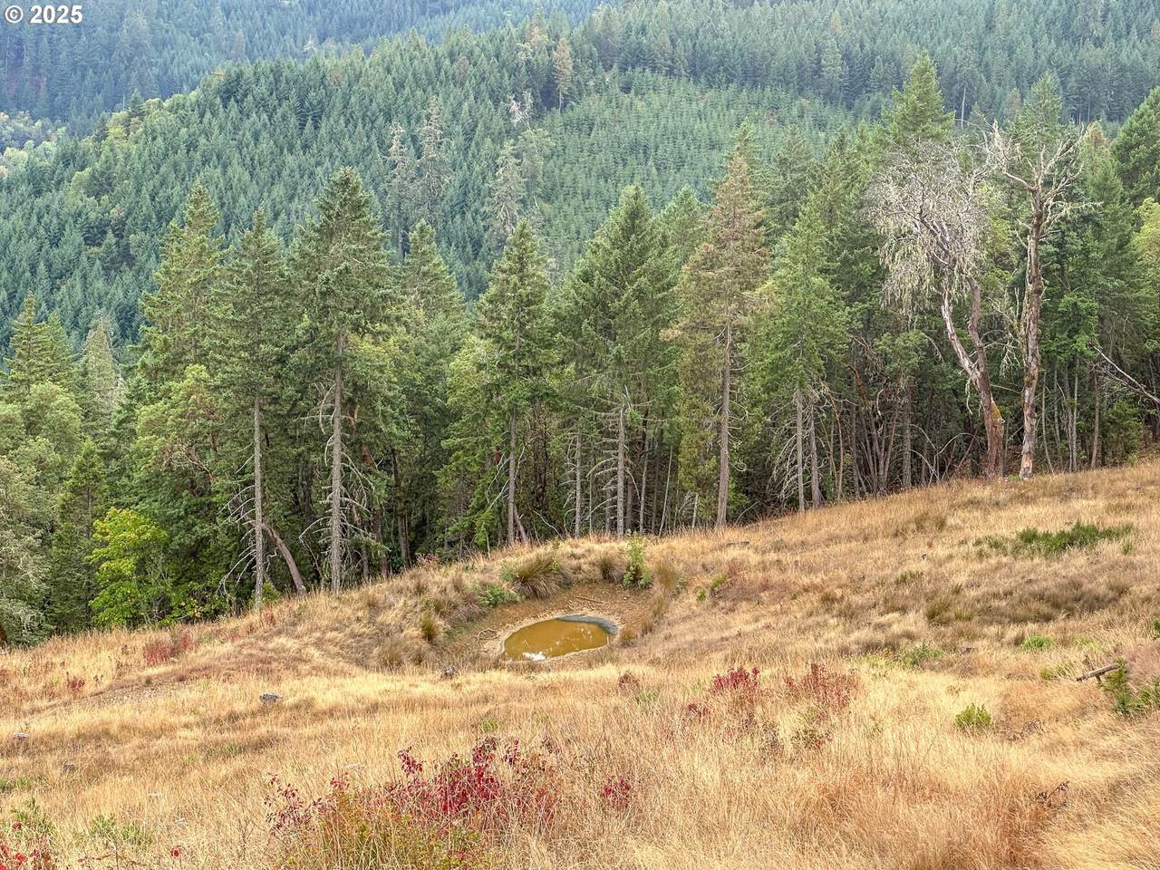 https://bt-photos.global.ssl.fastly.net/portland/1280_boomver_1_783435410-2.jpg