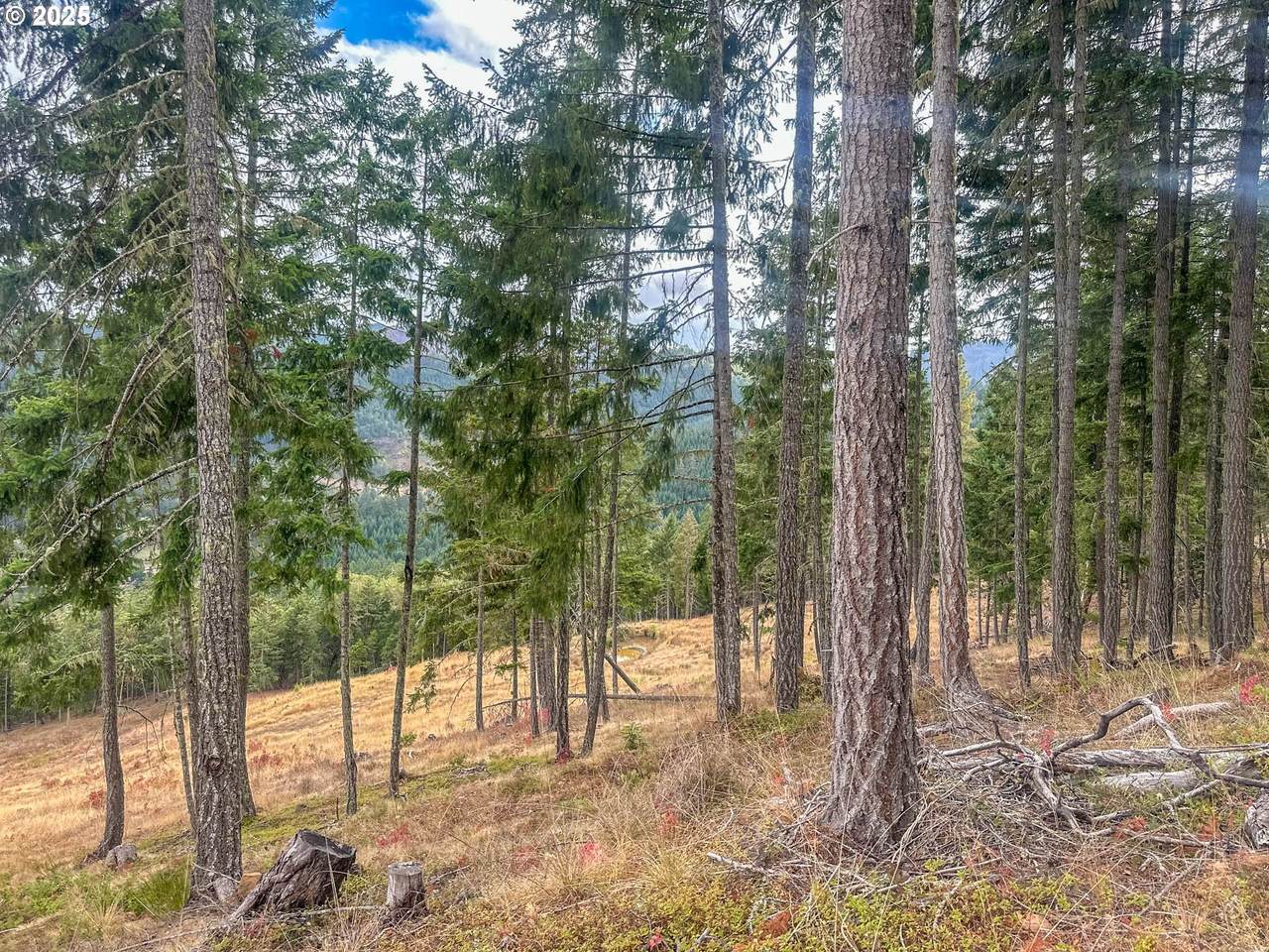 https://bt-photos.global.ssl.fastly.net/portland/1280_boomver_1_783435410-2.jpg
