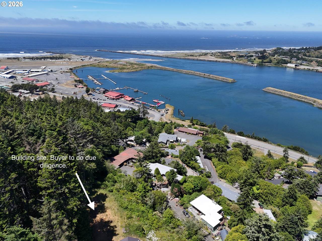  Rogue View Ln - Photo 1