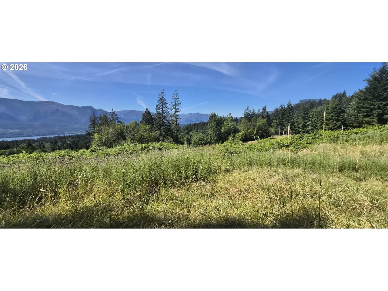 1811 Loop Rd - Photo 1